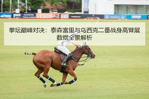 拳坛巅峰对决：泰森富里与乌西克二番战身高臂展数据全景解析